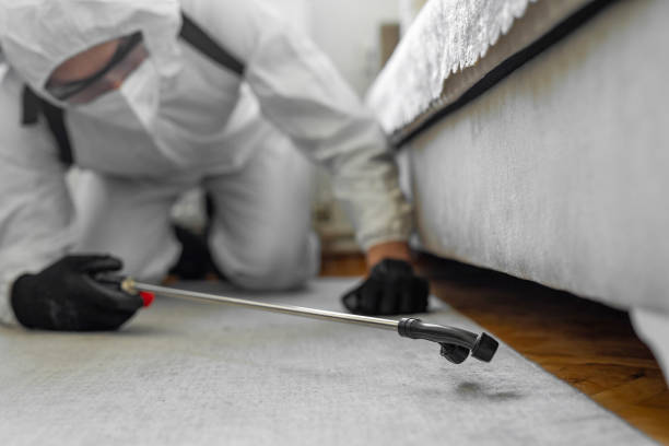 Professional Bed Bug Control technician working in Lynn, MA
